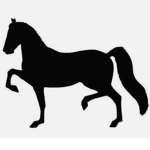 Trotters Academy