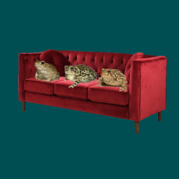 Couch Simulator