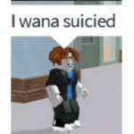 suicied studio