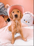 Lucy’s_Pookies