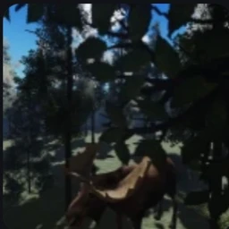 FOREST icon