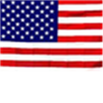 US Armed Forces (of America)