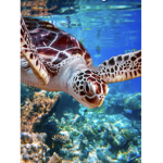 Sea turtle army!!!!!