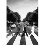 C.A.T.S<3