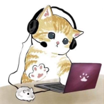 CDS xd
