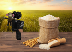Blehs Rice Time