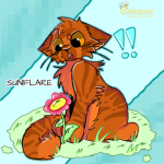 Sunflare's Filmcrew