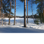 All Test Finland Players Tutorial Groups 0