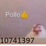 pollo studios