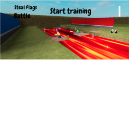 Stealing flag training