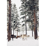 ~Christmas Vibes!~