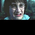 Harry Potter Fans Only