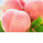 Disco on peaches