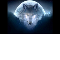 |:| Wolf Tribe|:|