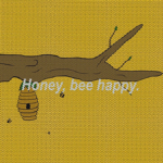 H O N E Y B E E S S