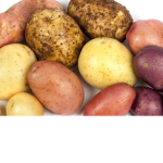 Followers of the potato