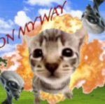 sidehfushufgsu