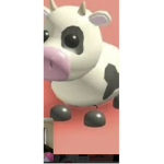 Whats up the gang