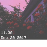 ~•~Aesthetic royalty~•~