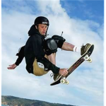 total sk8ers