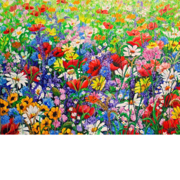 Flower feild photo shoot