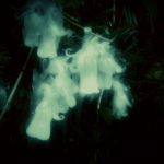 ~Livy’s Flower Garden~