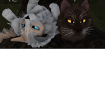 MILKWEED CLAN