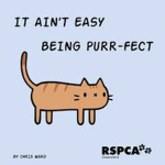pun-tastic