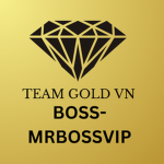 TEAM VIETNAM BOSS