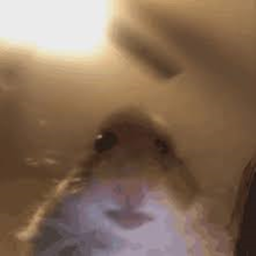 Hampster HQ