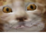 It’s conflict cat studios!!!