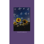 The beautiful kind sunflowers
