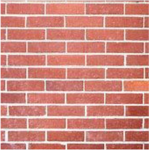 donald trump will build a wall