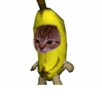 Maniac Monkeys