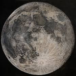Lunar Will Fangroup