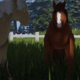Mountain Bay Equestrian [BETA]