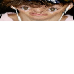 !BRUH!