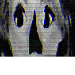 Experiment number 256