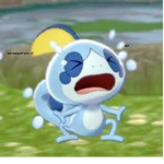 Pokemon Sword and Sheild Fan Club