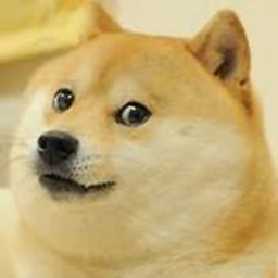 Doge Brothers Training
