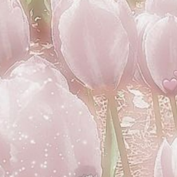 ⋆ ˚｡⋆୨♡୧⋆ ˚｡⋆