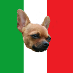 The Chihuahua Guard Division