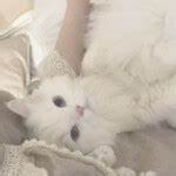 ♡