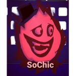 ✨SoChic✨