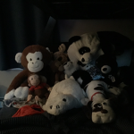 Stuffy Studios!