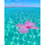Join this group if you subcribed to stream_ca