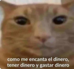 XX_,..esterbbx