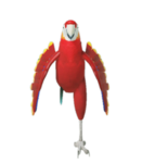 Parrot Event