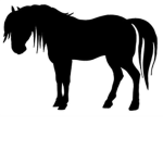 horse riding academy