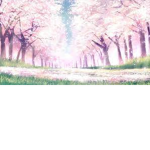 Cherry Blossom Sailor